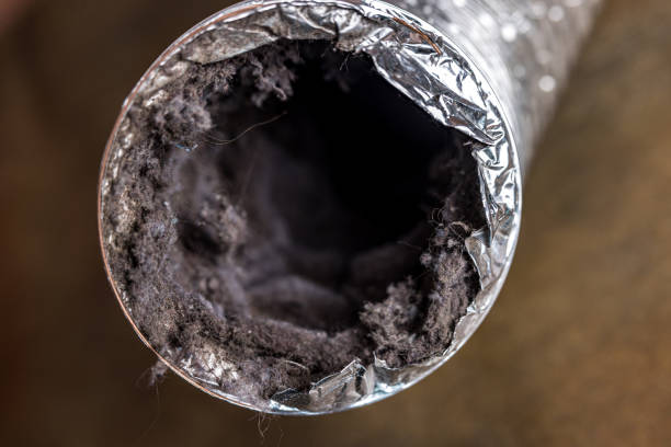 Best Dryer Vent Cleaning Services  in Dravosburg, PA